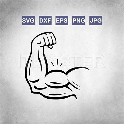 Bicep Muscle Muscular Bodybuilding Arm Svg Dxf Png Etsy
