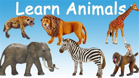 Learn Wild Animals Names And Sounds Fun Educational For