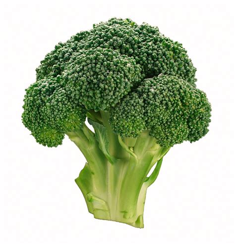 Broccoli Reduces Skin Cancer Risk A Study Topnews