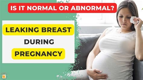 leaking breast during pregnancy leaking nipples during pregnancy why breast leak during