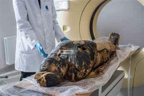 lesson of the day ‘in a first researchers discover a pregnant egyptian mummy the new york times