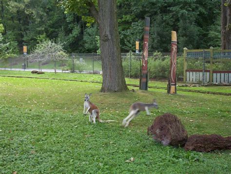 Zoo In Cleveland Hewan Lucu Terbaru