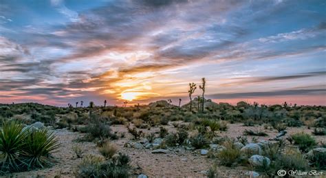 Untitled By Bill Baer 500px Landscape California Desert Natural