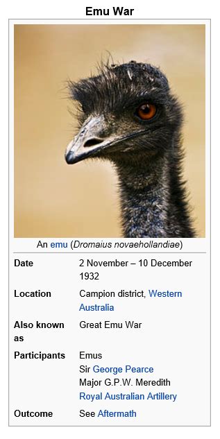 The emu war or better known as the great emu war was no different! The Great Emu War | History as You were Never Taught