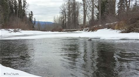 Northern Interior British Columbia Winters Thaw 7 Bulkley River