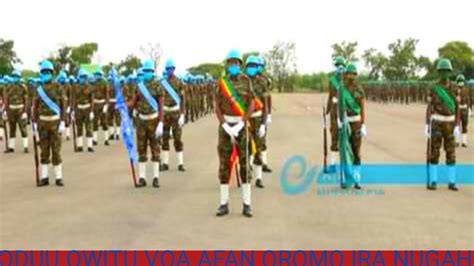 Oduu Owitu Voa Afan Oromo Ira Nugahe Youtube