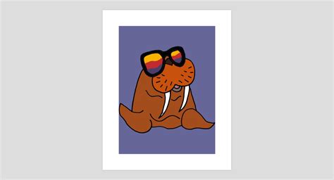 Cool Funny Walrus Wearing Colorful Sunglasses Art Prints By Smiletoday