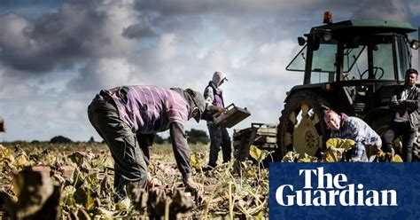 The Invisible People Modern Slavery In Pictures Uk News The