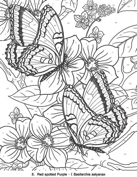 A Coloring Page With Butterflies And Flowers
