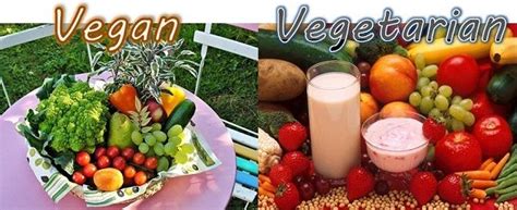 Vegans are vegetarians but with more diet restrictions. Difference Between Vegan and Vegetarian (with Comparison ...