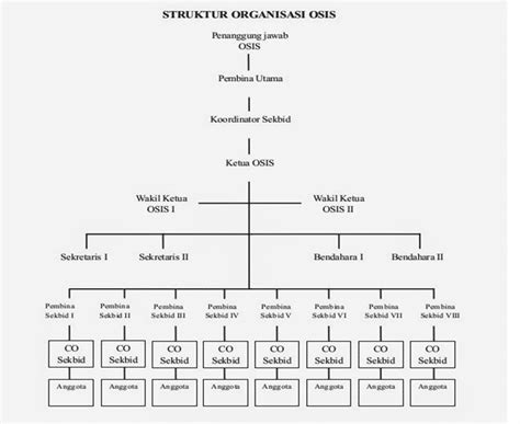 Struktur Organisasi Osis Smp Doc Sekolah Siswa