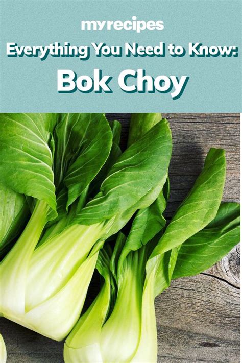What Is Bok Choy And What Do You Do With It Bok Choy Asian