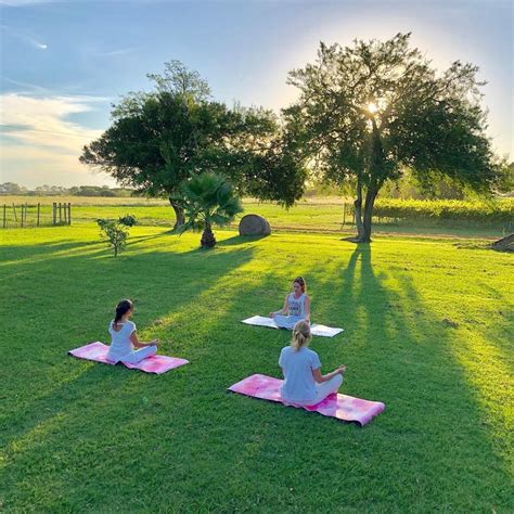 Three Women Are Doing Yoga In The Grass On Their Pink Mats And One