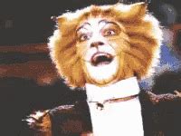 Cats The Musical Tag PrimoGIF