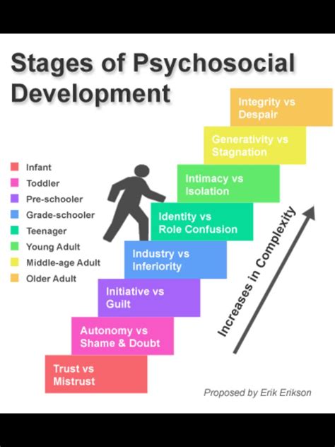 Erikson Psycho Social Stages Of Development Stages Of Psychosocial