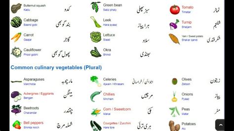 Vegetables Names English And Urdu Part 2 Youtube