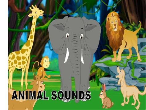 Jungle Animal Sound Fx Animals Sound Fx Unity Asset Store