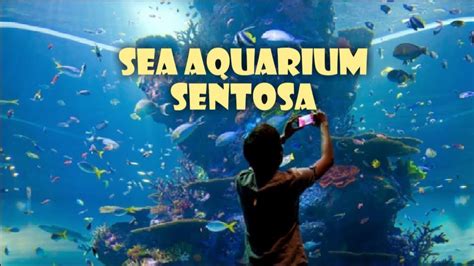 Resort World Sentosa Sea Aquarium And Adventure Cove Bonding