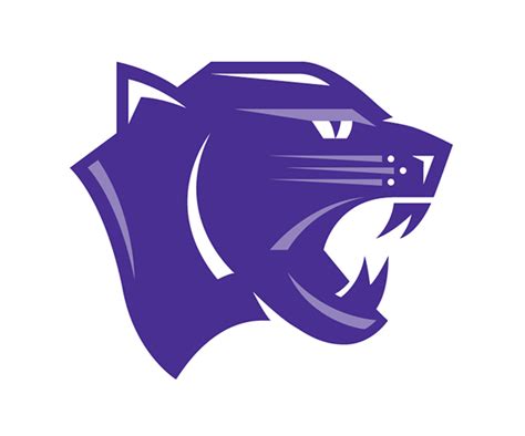 Elder High School Panther Logo And Spirit Wear On Behance