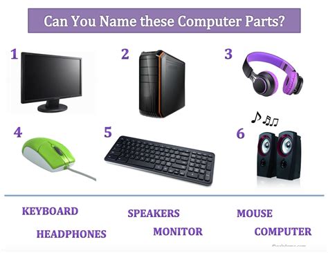 Parts Of Computer With Pictures Computer Components Images