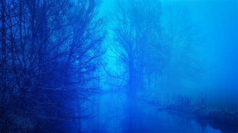 Blue Fog Pictures Download Free Images On Unsplash