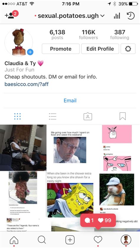 Instagram shoutout pages can be categorized into two types: Give you an instagram shoutout on 116k meme page by Cestrada27