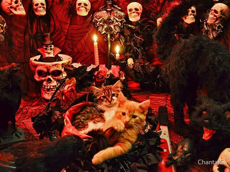 Venus And Di Milo ~ Gothic Kitty Cat Kittens In Halloween Art Decor By