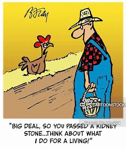Kidney Stones Stone Cartoon Cartoons Funny Alternative