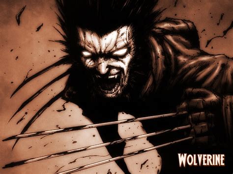 20 Anime Xmen Wolverine Illustrations Wallpapers