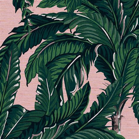 Daintree Palm Blush Wallpaper Déco Wallpaper