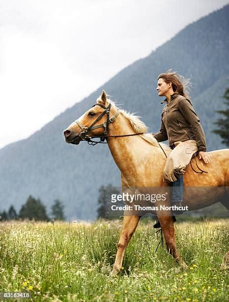 Horse Mounts Women Photos And Premium High Res Pictures Getty Images