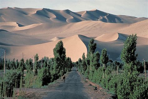 Gobi Desert China 3 Photograph By Carl Purcell