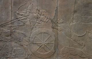 Sculpted Reliefs Depicting Ashurbanipal The Last Great As Flickr