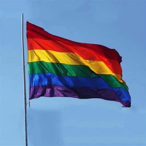 Free Shipping Hot Sale Rainbow Flag X Ft X Cm Polyester Lesbian Gay Pride Lgbt For