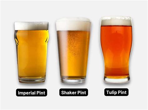 The Complete Guide To Beer Glasses Man Of Many