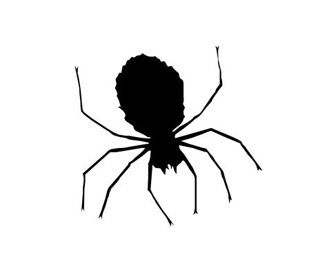 Halloween Spider Images Clipart Best
