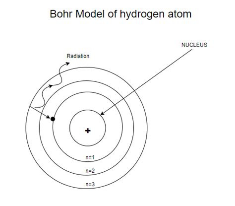 Write Bohrs Postulates For The Hydrogen Atom Model Class Physics Cbse My XXX Hot Girl