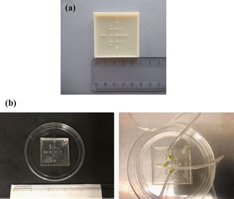 A Mold For Casting PDMS B PDMS Microfluidic Devices Download Scientific Diagram