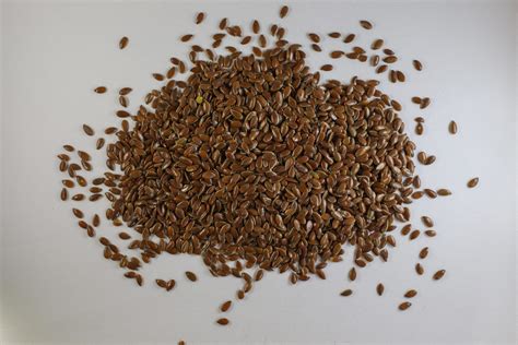 Flax Seed Pixahive