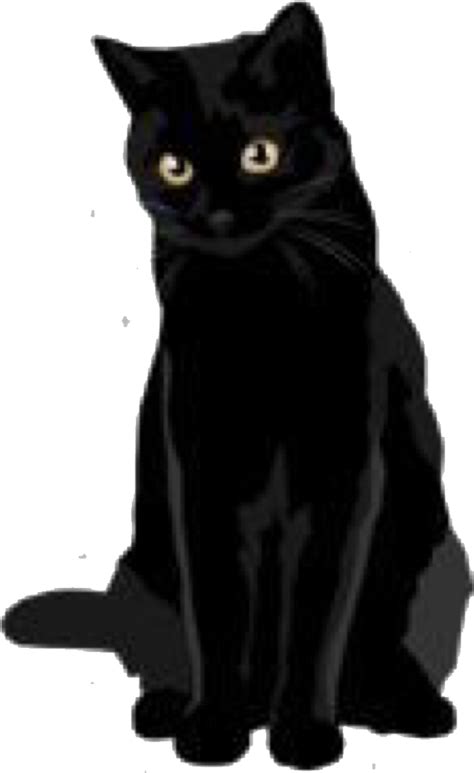 Anime Black Cat Art