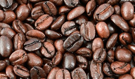 Socially Conscious Coffee Beans Myanmore