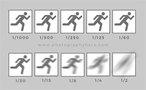 A Beginners Guide To Learning Photography Photography Hero