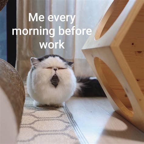 Im Not A Morning Person Rmemes