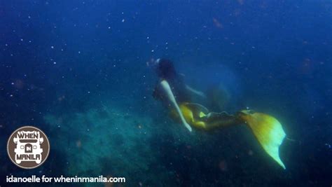 Mermaids In Manila Watch Splash Dance Aqua Shows When In Manila When In Manila