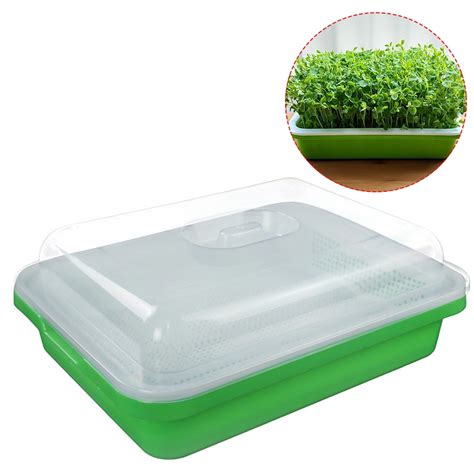 Seed Sprouter Kitchen Seed Sprouting Tray Soil Free Garden Seed