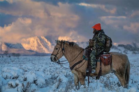 Free Range Wild Bison Hunting In Wyoming