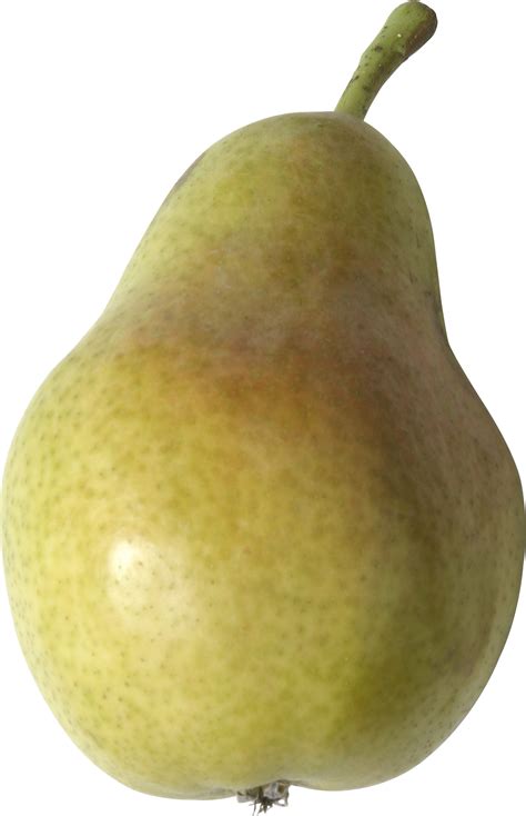 Collection Of Hq Pear Png Pluspng