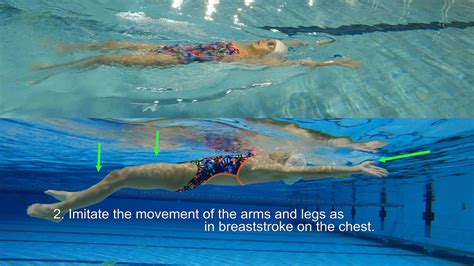 Breaststroke Drill Reverse Breaststroke Swim