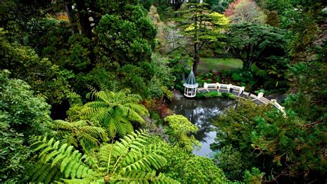 Glasgow Botanic Gardens In Wellington Expediade