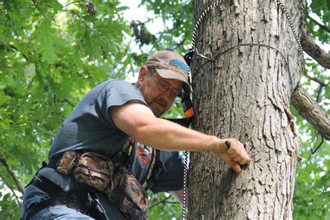 17 Tips For Hanging And Hunting Treestands Safely North Am